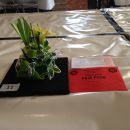 1st Prize