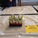 3rd Prize